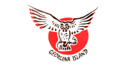 Chippewas of Georgina Island Flag (Ontario)