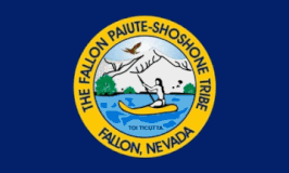 Fallon Paiute-Shoshone Tribe Flag