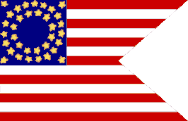 US Cavalry Guidon Flag