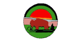 Buffalo River Dene Nation Flag (Saskatchewan)