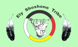 Ely Shoshone Tribe Flag