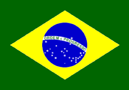 Brazil Flag / Bandeira brasileira