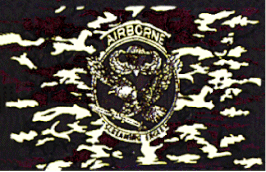 Camo Airborne Flag