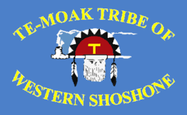 Te-Moak Tribe of Western Shoshone Flag