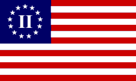 USA Second American Revolution Flag