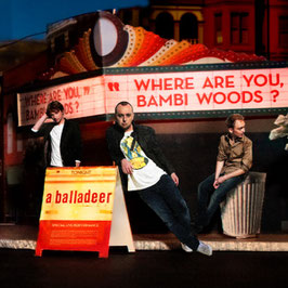 Where Are You, Bambi Woods? (radio promo cd)