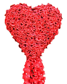 H037 100x100 cm Kein Versand!!!