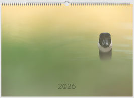 Der Jahreskalender 2026 "Birds"