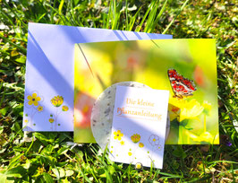 Blumengruß - Schmetterling