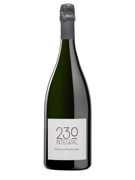 230 Integral 2006 - 19 Jahre auf der Hefe