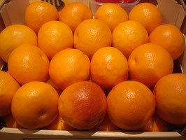 Orangen Tarocco