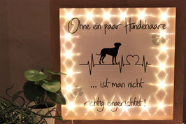 Ohne ein paar Hundehaare