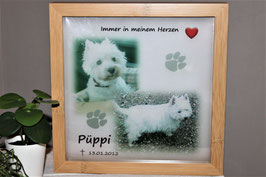 Immer in meinem Herzen ♥