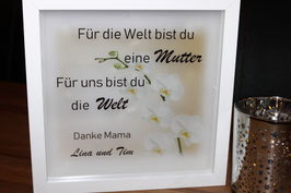 Orchidee zum Muttertag in creme