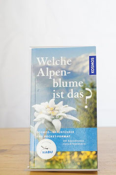 Welche Alpenblume ist das?