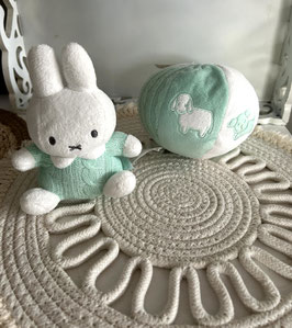 Set van Nijntje in het turquoise