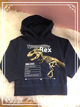 Stoere Dino trui van H&M maatje 92
