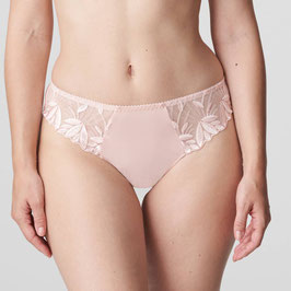 PrimaDonna Orlando String