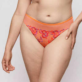 PrimaDonna Devdaha String