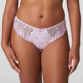 %SALE% PrimaDonna Orlando String