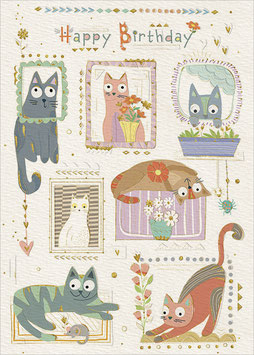 Katzen Happy Birthday