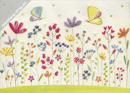 Schmetterlinge und Blumenwiese