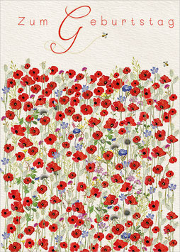 Mohnblumen zum Geburtstag groß