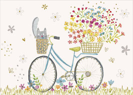 Fahrrad mit Katze