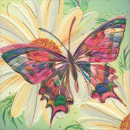 Schmetterling Minikarte