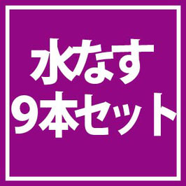 【送料無料】★５月から順次発送します★水ナス9本セット