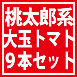 【送料無料】★５月から順次発送します★桃太郎系大玉トマト9本セット