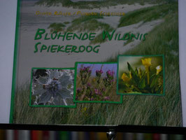 Röller/Schlesiger - Blühende Wildnis Spiekjeroog