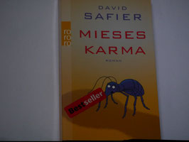 David Safier - Mieses Karma