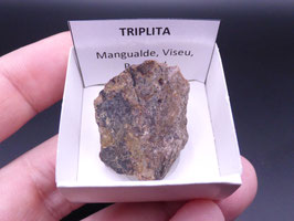 LOW 1414 - TRIPLITA