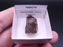 LOW 1402 - TRIPLITA