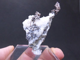 129P - PLATA NATIVA, ALLARGENTUM Y DYSCRASITA EN CALCITA