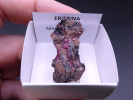LOW 534 - ERITRINA