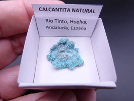 LOW 423 - CALCANTITA