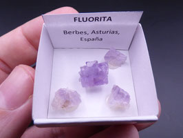 LOW 429 - FLUORITAS