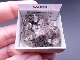 LOW 251 - CALCITA
