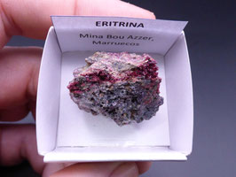 LOW 532 - ERITRINA