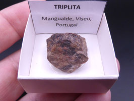 LOW 1413 - TRIPLITA