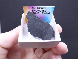 LOW 1256 - SHUNGITA