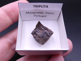 LOW 1382 - TRIPLITA