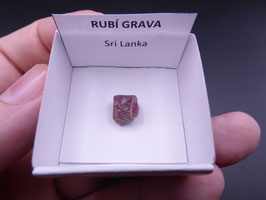 LOW 569 - RUBÍ GRAVA