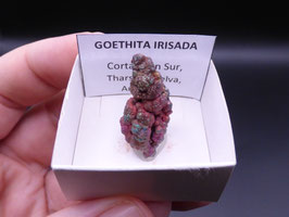 LOW 696 - GOETHITA IRISADA