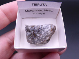 LOW 1418 - TRIPLITA
