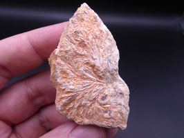 3P - PIROFILITA
