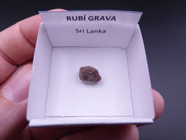 LOW 563 - RUBÍ GRAVA
