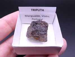 LOW 1394 - TRIPLITA
